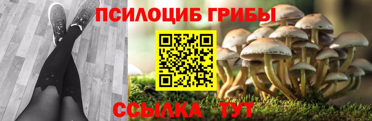 Псилоцибиновые грибы Psilocybe  Псилоцибиновые грибы GOLDEN TEACHER  Смоленск  Вход с VPN 